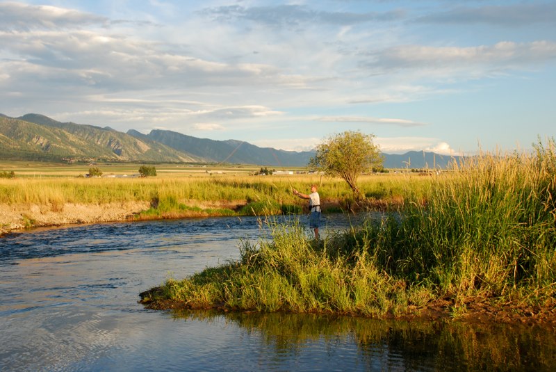 Fly fishing on the Salt River