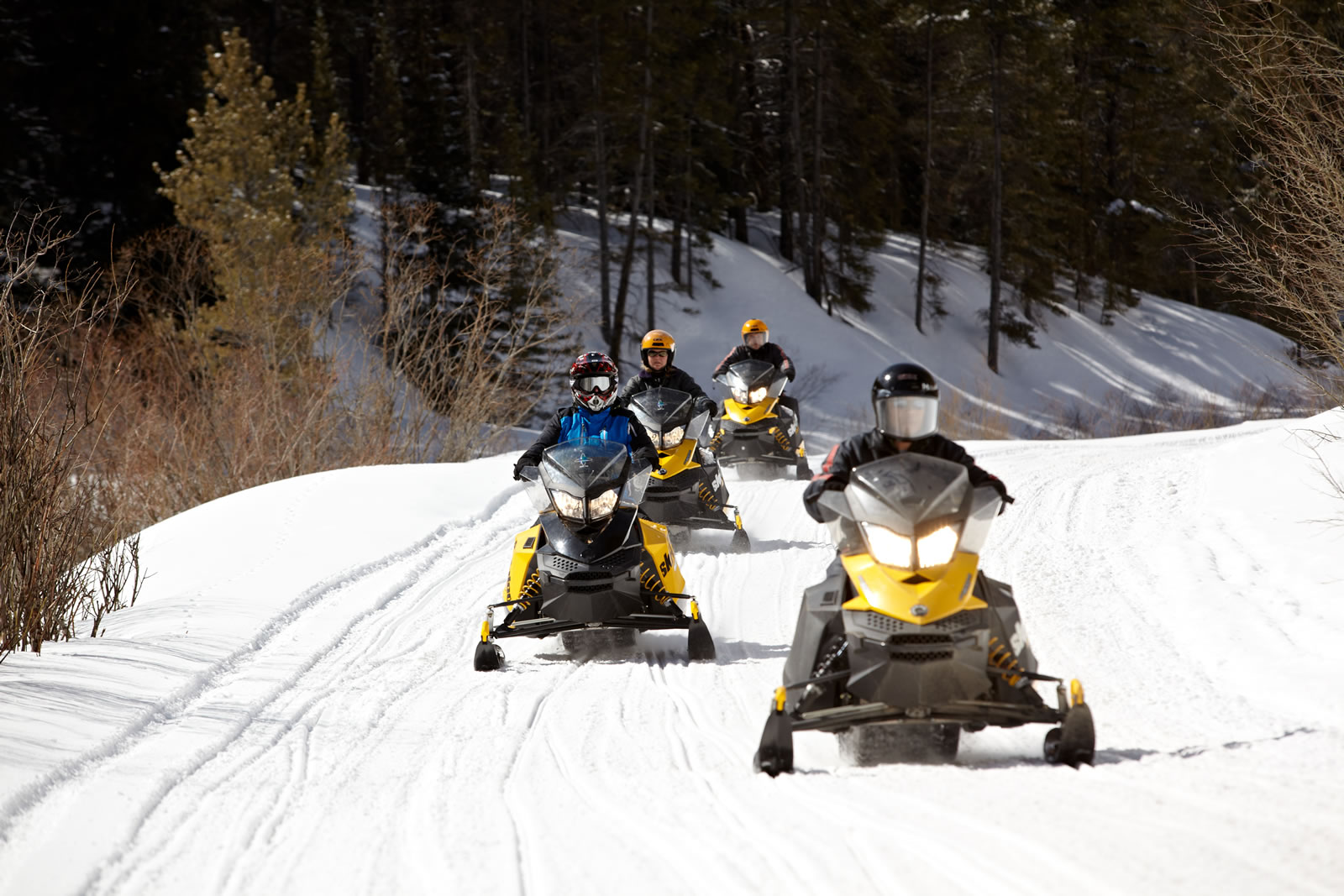 Snowmobiling Tours