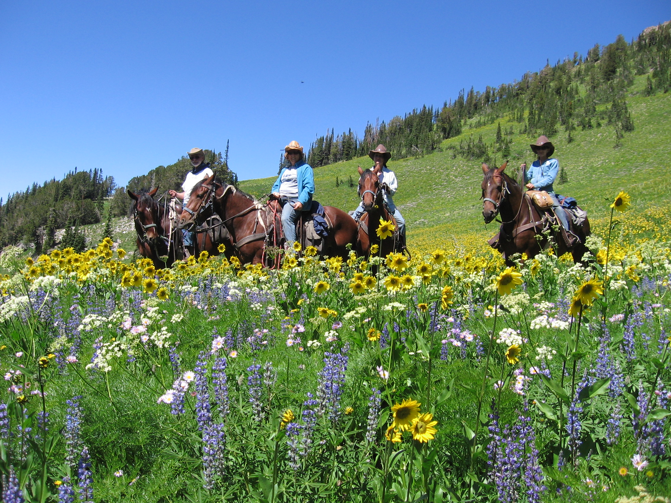 Horseback Riding in the Mountains